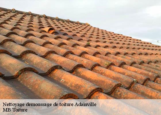 Nettoyage demoussage de toiture  adainville-78113 MB Toiture