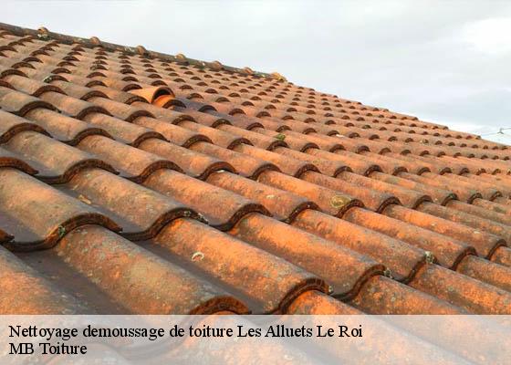 Nettoyage demoussage de toiture  les-alluets-le-roi-78580 MB Toiture