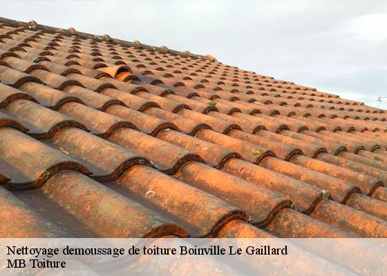 Nettoyage demoussage de toiture  boinville-le-gaillard-78660 MB Toiture