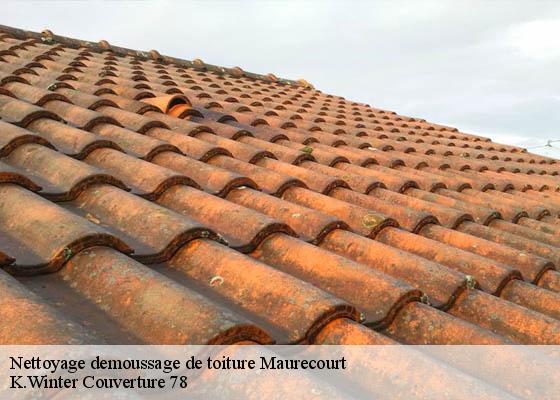 Nettoyage demoussage de toiture  maurecourt-78780 K.Winter Couverture 78