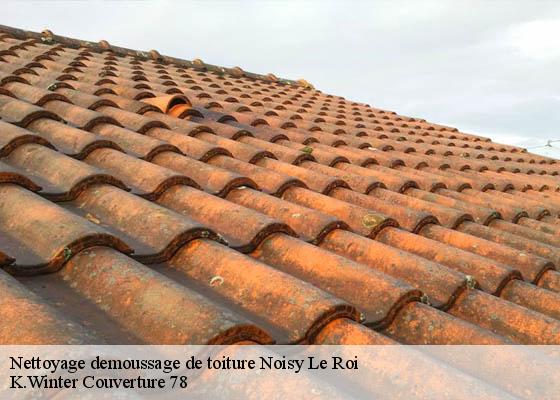 Nettoyage demoussage de toiture  noisy-le-roi-78590 K.Winter Couverture 78