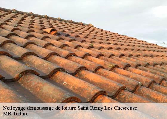 Nettoyage demoussage de toiture  saint-remy-les-chevreuse-78470 MB Toiture