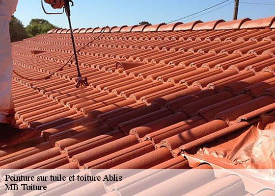 Peinture sur tuile et toiture  ablis-78660 MB Toiture