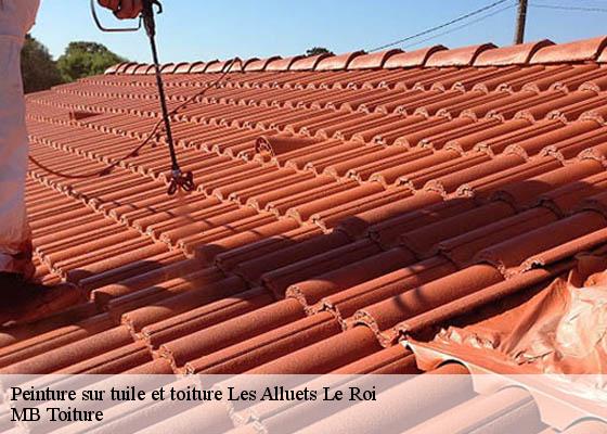 Peinture sur tuile et toiture  les-alluets-le-roi-78580 MB Toiture