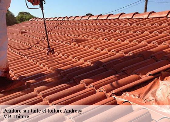 Peinture sur tuile et toiture  andresy-78570 MB Toiture