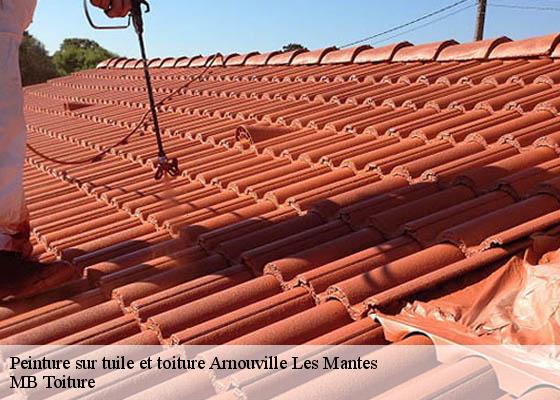 Peinture sur tuile et toiture  arnouville-les-mantes-78790 MB Toiture