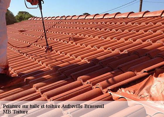 Peinture sur tuile et toiture  aufreville-brasseuil-78930 MB Toiture