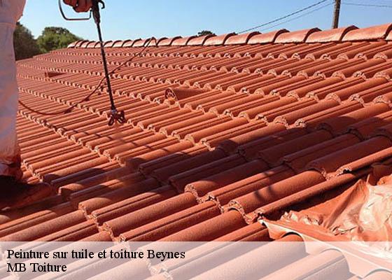 Peinture sur tuile et toiture  beynes-78650 MB Toiture