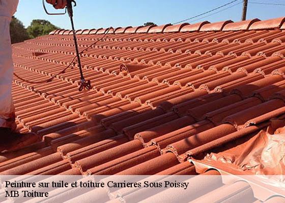 Peinture sur tuile et toiture  carrieres-sous-poissy-78955 MB Toiture