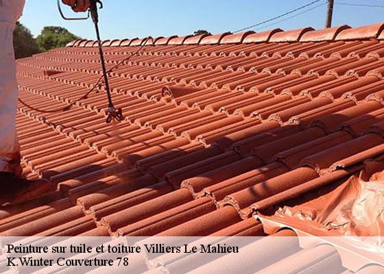 Peinture sur tuile et toiture  villiers-le-mahieu-78770 K.Winter Couverture 78