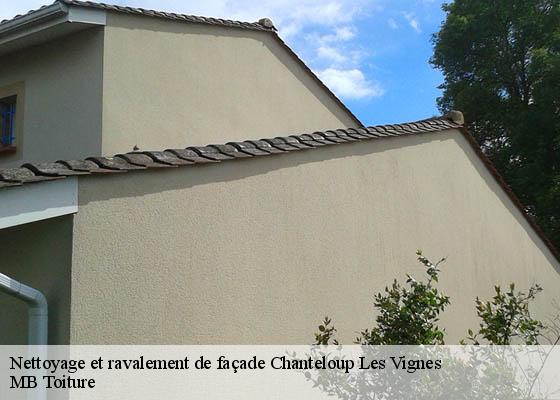 Nettoyage et ravalement de façade  chanteloup-les-vignes-78570 MB Toiture