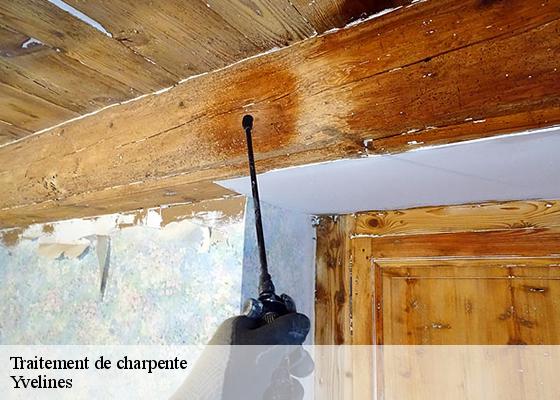 Traitement de charpente Yvelines 