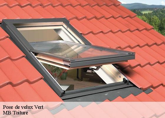 Pose de velux  vert-78930 MB Toiture