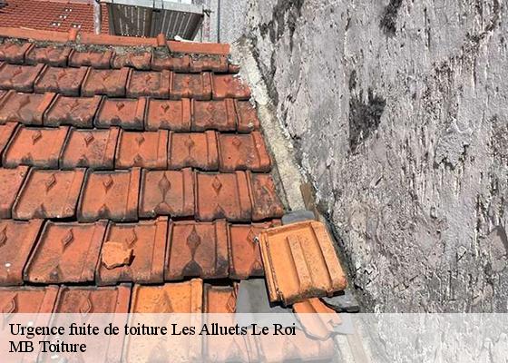 Urgence fuite de toiture  les-alluets-le-roi-78580 MB Toiture