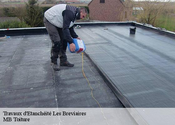 Travaux d'Etanchéité  les-breviaires-78610 MB Toiture